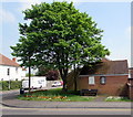 May foliage on a Burnham-on-Sea corner