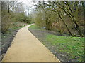 Path beside the Craigdhu Burn