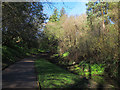 The Little Glen, Peasholm Park