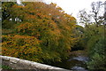 SX0963 : View downstream from Respryn Bridge by Christopher Hilton