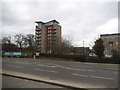 The new Chalkhill Estate in Wembley Park