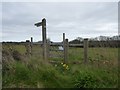 Footpath onto Barton Common