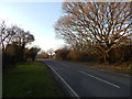 Thoby Lane, Mountnessing