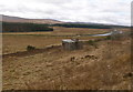 Railside hut, Strath Bran