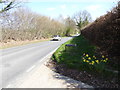 The B2110 looking east from driveway junction