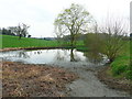 Pond at Wants End, Kings Walden