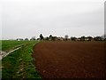 Field  track  on  the  left  of  field  to  Old  Micklefield