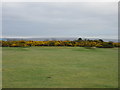 Montrose Broomfield, 10th hole, The Follies