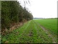 Field  edge  track  and  footpath