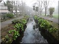 Paignton, stream