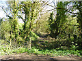 Bed of Dorset and Somerset Canal, Conduit Bridge