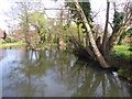 Pond at Delaware Farm