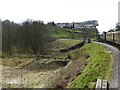 Being pulled by the Flying Scotsman