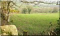 Field near Butterdon