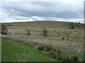 Farmland near Parkhillhead