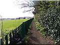 Footpath - Bogs Lane