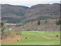 Dunkeld & Birnam, 6th hole, Gully