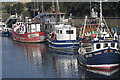 Fishing boats at Eyemouth