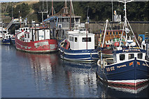 NT9464 : Fishing boats at Eyemouth by Malcolm Neal
