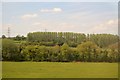 Farmland near Thingley junction