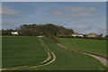 Looking north towards Grove Farm