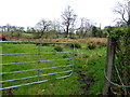 Gate to a rushy field, Roscavey