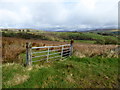 Gate to rushy field, Aghaboy