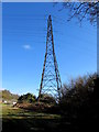 Electricity pylon near Hafren Road, Thornhill, Cwmbran