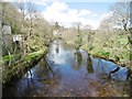 Buckfast, River Dart