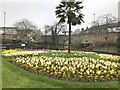 Grosvenor Gardens, Newcastle-under-Lyme