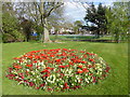 Flowerbed in Mansfield Park