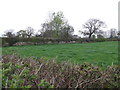 Wall to Sibbersfield Hall