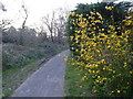 Footpath off Tarn Drive