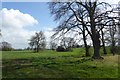 Footpath to Bilbrough