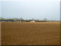 A brown field, Bardfield Saling