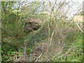 Overgrown railway cutting, Willand