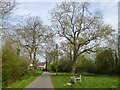 Jaycroft, a minor road in Willand