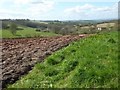 Ploughed field