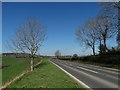 The A494 near Meiarth Bach