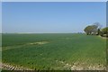 Farmland near Moor Farm