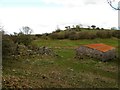 Barn and ruins at Gyrn-fawr