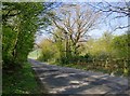 Whitebread Lane (A268)