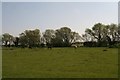 Horse field off Dunston Fen Lane