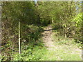 Footpath leaves Freshfield Lane