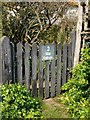 Cottage gate (with alexanders), Rye Harbour