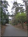 Footbridge over Alum Chine