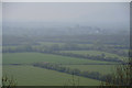 Sedgemoor : Countryside Scenery