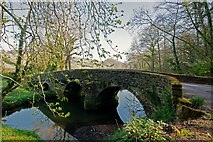 SS7203 : The upstream side of Tuckingmill Bridge on the River Yeo by Roger A Smith