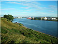 Banks of the River South Esk