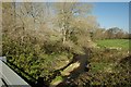 Looking down the River Yeo from Bow Bridge